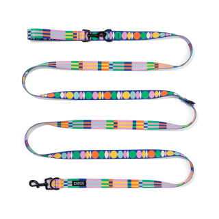 PIESY 🐕 Smycz przepinana "Psiasty Pasiasty"