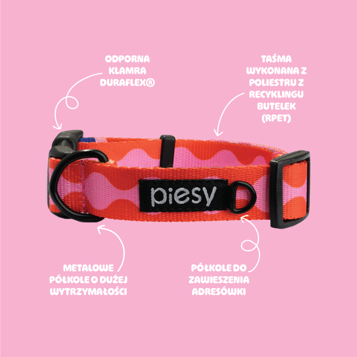 PIESY 🐕 Obroża z klamrą "Fantasmagorie"