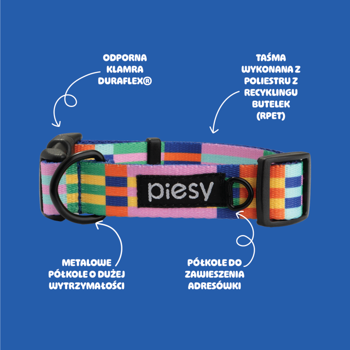 PIESY 🐕 Obroża "Psiasty Pasiasty"