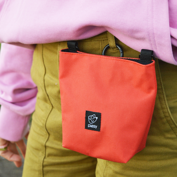 PIESY 🐕 Saszetka na smaczki pomarańczowa