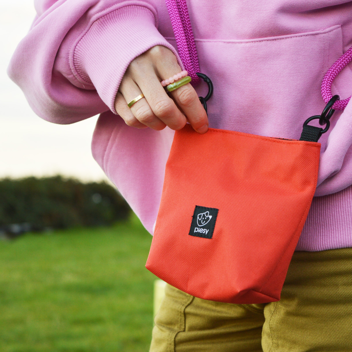 PIESY 🐕 Saszetka na smaczki pomarańczowa