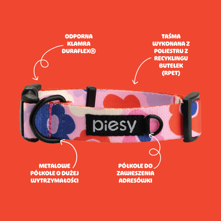 PIESY 🐕 Obroża z klamrą "Floresy"