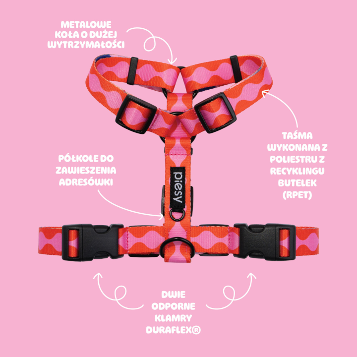 PIESY 🐕 Szelki guard "Fantasmagorie"