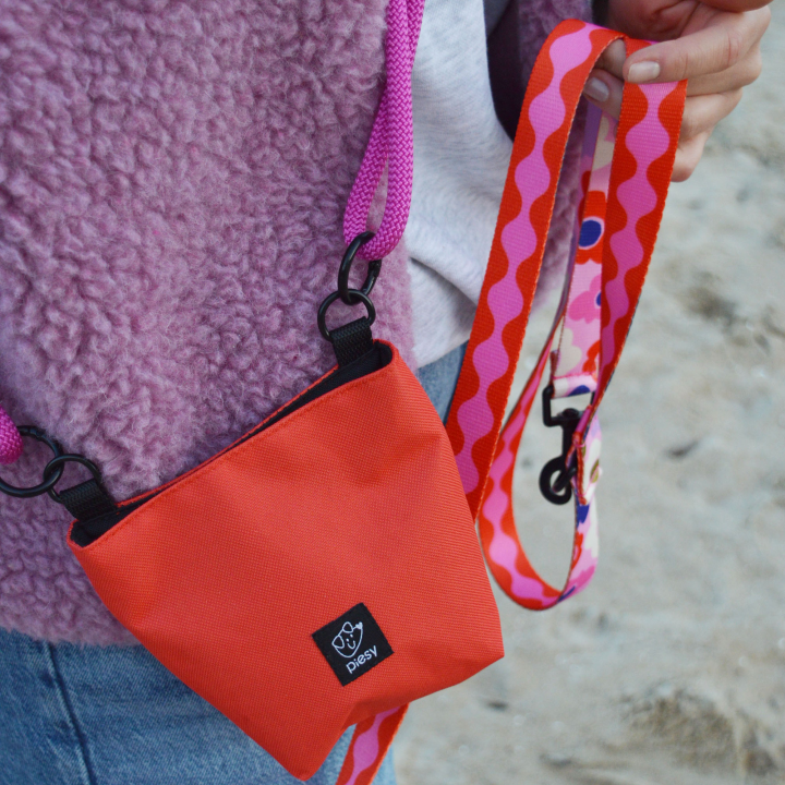 PIESY 🐕 Saszetka na smaczki pomarańczowa