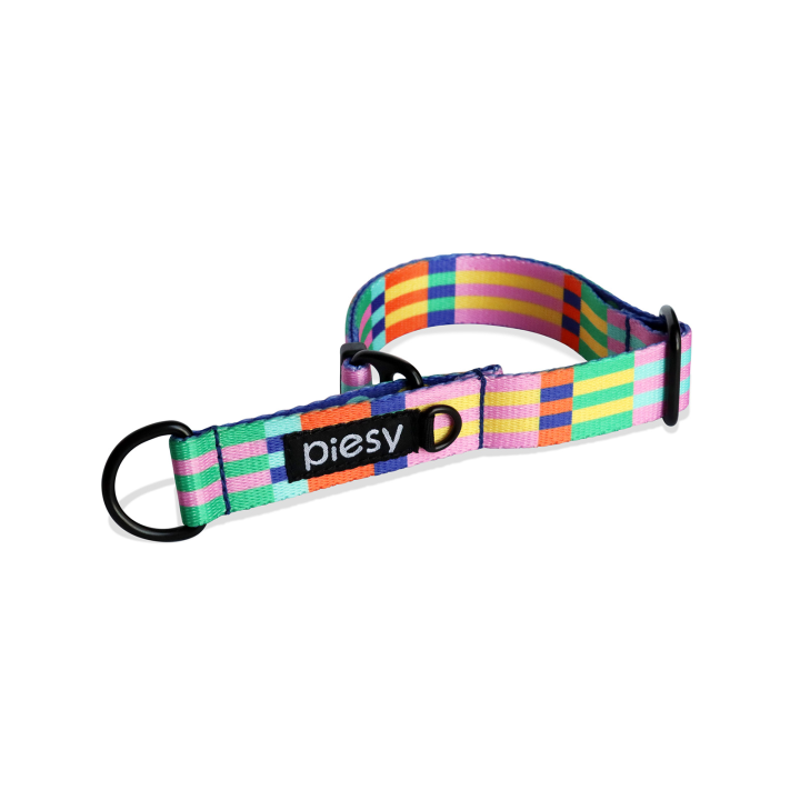 PIESY 🐕 Obroża Półzaciskowa "Psiasty Pasiasty"