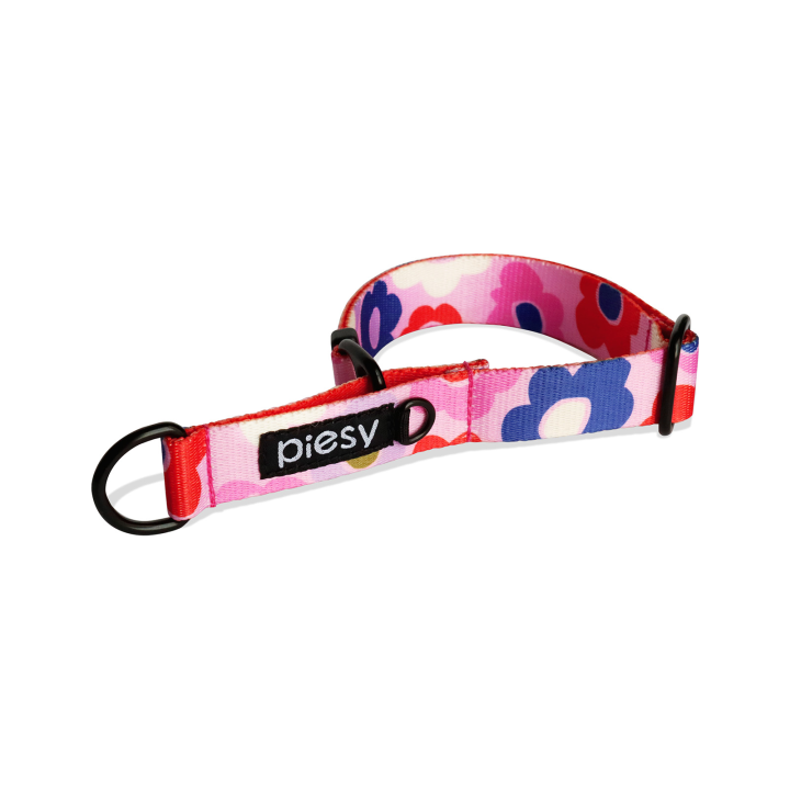 PIESY 🐕 Obroża Półzaciskowa "Floresy"