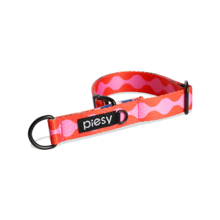 PIESY 🐕 Obroża Półzaciskowa "Fantasmagorie"