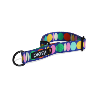 PIESY 🐕 Obroża Półzaciskowa "Draże Piesiarze"