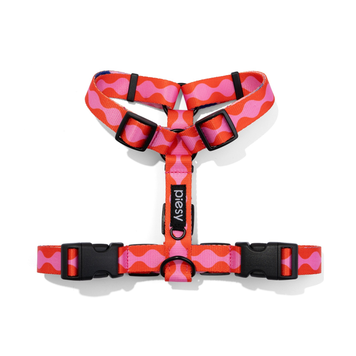 PIESY 🐕 Szelki guard "Fantasmagorie"