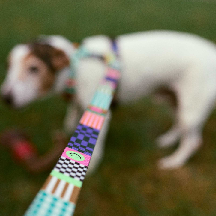 PIESY 🐕 Smycz miejska "Psichodelia"