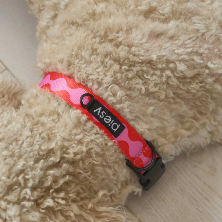 PIESY 🐕 Obroża z klamrą "Fantasmagorie"