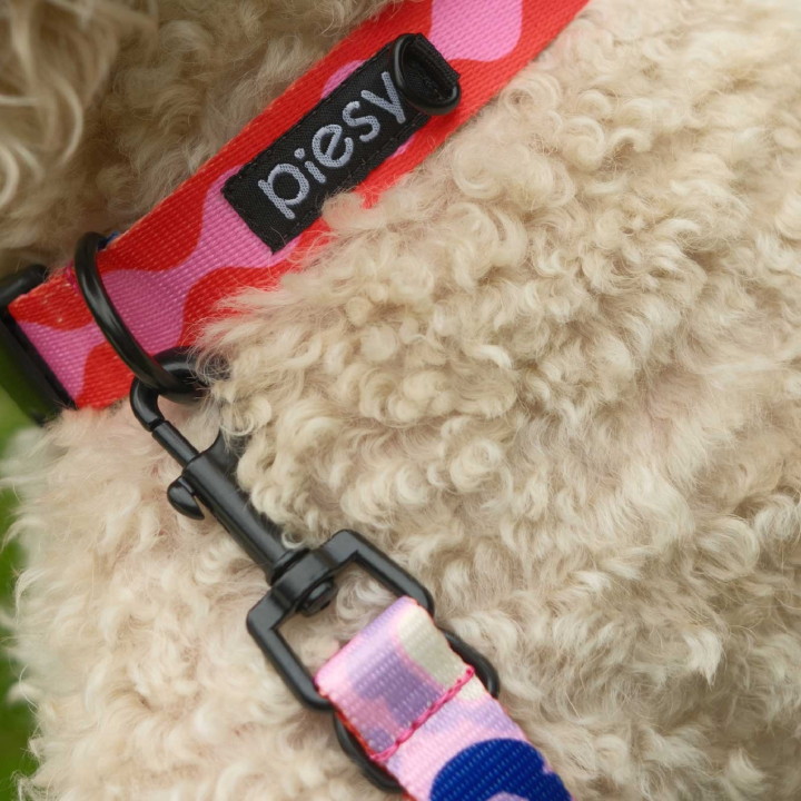 PIESY 🐕 Obroża z klamrą "Fantasmagorie"