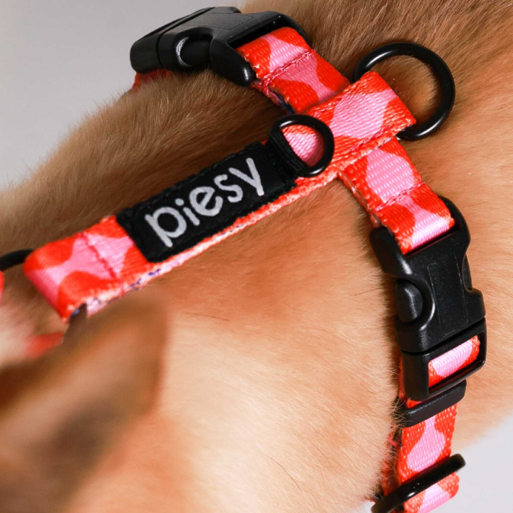 PIESY 🐕 Szelki guard "Fantasmagorie"