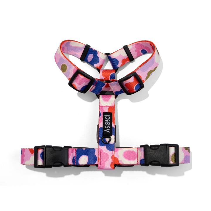 PIESY 🐕 Szelki guard "Floresy"