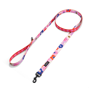 PIESY 🐕 Smycz miejska "Floresy Fantasmagorie"