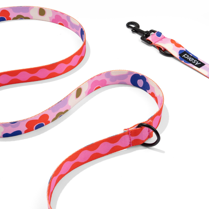 PIESY 🐕 Smycz przepinana "Floresy Fantasmagorie"