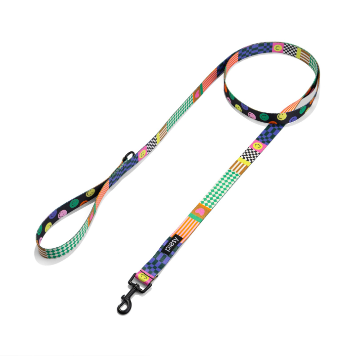 PIESY 🐕 Smycz miejska "Psichodelia"