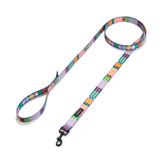 PIESY 🐕 Smycz miejska "Psiasty Pasiasty"