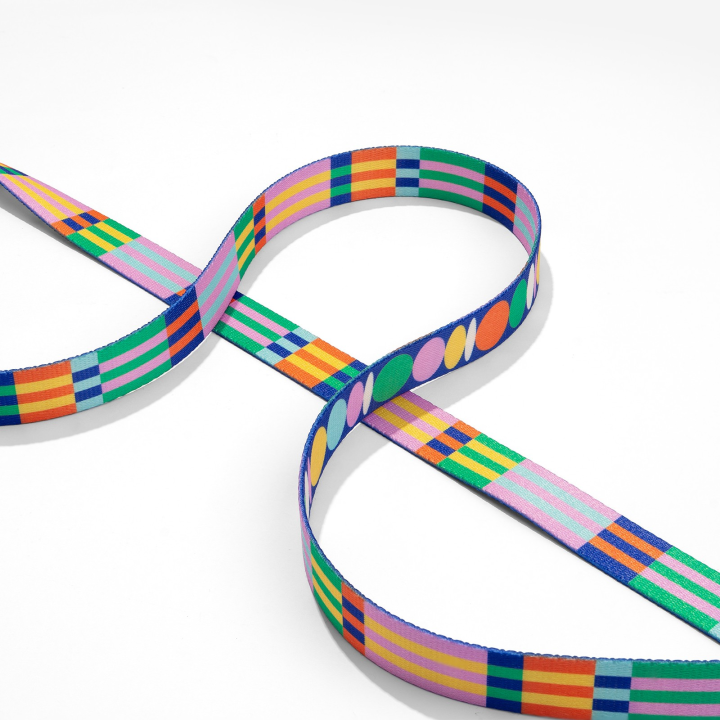 PIESY 🐕 Smycz miejska "Psiasty Pasiasty"