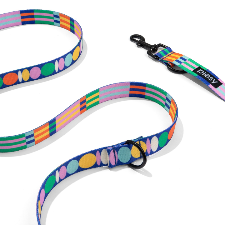 PIESY 🐕 Smycz przepinana "Psiasty Pasiasty"