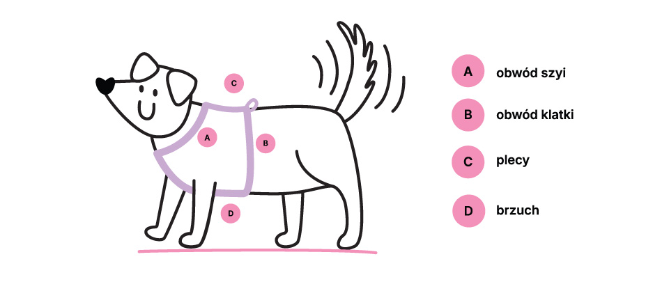 Pomiar psa - ilustracja 1